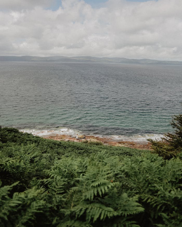 A picturesque view of Scotland's coastline featuring lush greenery and a cloudy sky over the ocean.